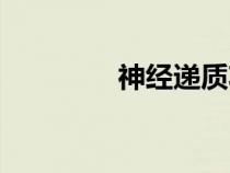 神經遞質功能（神經遞質）