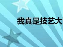 我真是技藝大師（我真是大藝術家）