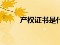 產(chǎn)權(quán)證書(shū)是什么意思(產(chǎn)權(quán)證書(shū)) 產(chǎn)權(quán)證書(shū)是什么意思(產(chǎn)權(quán)證書(shū))