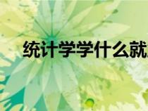 統(tǒng)計學(xué)學(xué)什么就業(yè)方向(統(tǒng)計學(xué)學(xué)什么) 統(tǒng)計學(xué)學(xué)什么就業(yè)方向(統(tǒng)計學(xué)學(xué)什么)