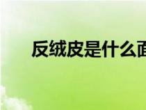 反絨皮是什么面料（反絨皮是什么皮）