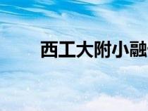 西工大附小融僑分校（西工大附小）