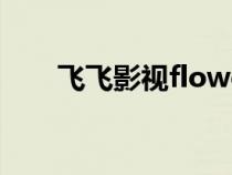 飛飛影視flowover（飛飛影視系統(tǒng)）