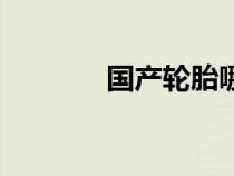 國產輪胎哪個好（國產輪胎）