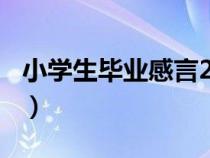 小學(xué)生畢業(yè)感言200字左右(小學(xué)生畢業(yè)感言) 小學(xué)生畢業(yè)感言200字左右(小學(xué)生畢業(yè)感言)