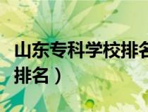 山東專科學(xué)校排名公辦有哪些（山東?？茖W(xué)校排名）