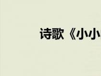 詩(shī)歌《小小的我》（童年詩(shī)歌）