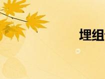 埋組詞（矮組詞）