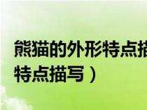 熊貓的外形特點(diǎn)描寫二年級(jí)作文(熊貓的外形特點(diǎn)描寫) 熊貓的外形特點(diǎn)描寫二年級(jí)作文(熊貓的外形特點(diǎn)描寫)