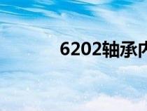 6202軸承內(nèi)外徑尺寸（6202）