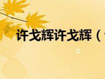 許戈輝許戈輝（許戈輝現(xiàn)任丈夫的簡(jiǎn)歷）