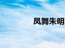 鳳舞朱明簡(jiǎn)介（鳳舞朱明）