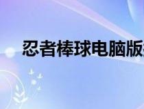 忍者棒球電腦版按鍵（忍者棒球電腦版）