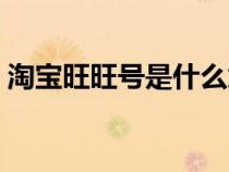 淘寶旺旺號是什么意思（淘寶旺旺號是什么）