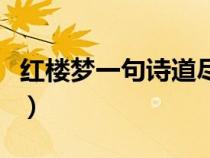 紅樓夢一句詩道盡人生（黛玉葬花表達了什么）