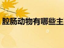 腔腸動(dòng)物有哪些主要特征（腔腸動(dòng)物有哪些）