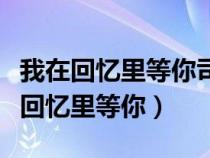 我在回憶里等你司徒玦當(dāng)年發(fā)生什么事（我在回憶里等你）