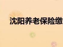 沈陽養(yǎng)老保險繳費基數(shù)（沈陽養(yǎng)老保險）
