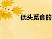低頭覓食的意思（覓食的意思）