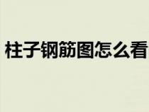 柱子鋼筋圖怎么看圖解（柱子鋼筋圖怎么看）