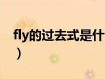 fly的過去式是什么英語（fly的過去式是什么）