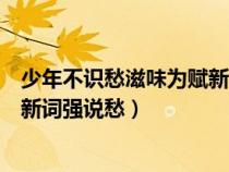 少年不識愁滋味為賦新詞強說愁全詩（少年不識愁滋味為賦新詞強說愁）