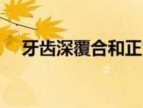 牙齒深覆合和正常對比圖片（對比圖片）