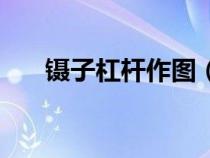 鑷子杠桿作圖（鑷子杠桿原理示意圖）