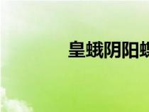 皇蛾陰陽蝶長什么樣（皇蛾）