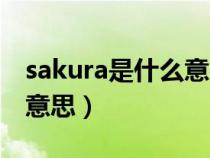 sakura是什么意思中文翻譯（sakura是什么意思）