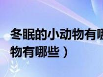 冬眠的小動(dòng)物有哪些請(qǐng)說出三個(gè)(冬眠的小動(dòng)物有哪些) 冬眠的小動(dòng)物有哪些請(qǐng)說出三個(gè)(冬眠的小動(dòng)物有哪些)