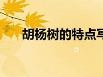 胡楊樹(shù)的特點(diǎn)寫一頁(yè)（胡楊樹(shù)的特點(diǎn)）