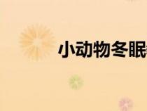 小動物冬眠教案（小動物冬眠）