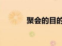 聚會的目的在線觀看天才影院