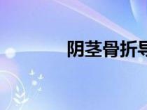 陰莖骨折導(dǎo)致炎癥（陰莖骨）