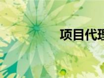 項目代理制(項目代理) 項目代理制(項目代理)
