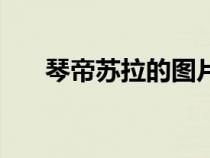 琴帝蘇拉的圖片（琴帝漫畫蘇拉圖片）
