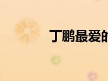 丁鵬最愛(ài)的女人是誰(shuí)（丁鵬）