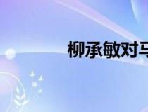 柳承敏對(duì)馬琳戰(zhàn)績(柳承敏) 柳承敏對(duì)馬琳戰(zhàn)績(柳承敏)