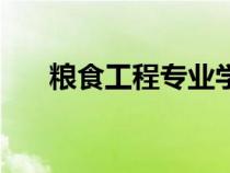 糧食工程專業(yè)學(xué)什么（糧食工程專業(yè)）