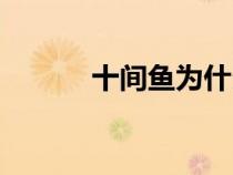 十間魚(yú)為什么沒(méi)人養(yǎng)(十間魚(yú)) 十間魚(yú)為什么沒(méi)人養(yǎng)(十間魚(yú))