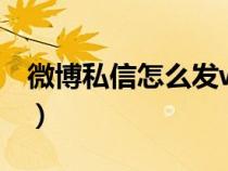 微博私信怎么發(fā)word文檔（微博私信怎么發(fā)）