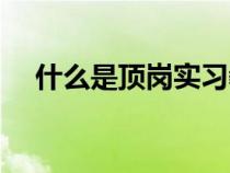 什么是頂崗實習教師（什么是頂崗實習）