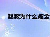 趙薇為什么被全封（趙薇為什么被封殺）