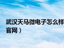 武漢天馬微電子怎么樣百度貼吧（武漢天馬微電子有限公司官網(wǎng)）