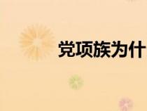 黨項(xiàng)族為什么姓拓跋（黨項(xiàng)族）