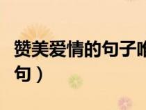 贊美愛(ài)情的句子唯美短句（愛(ài)情的句子唯美短句）