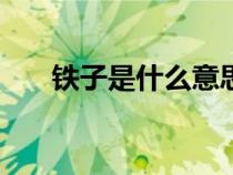鐵子是什么意思?!（鐵子是什么意思）