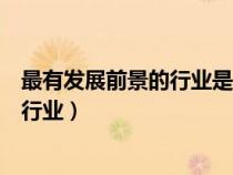 最有發(fā)展前景的行業(yè)是一項還是有幾項（比較有發(fā)展前景的行業(yè)）