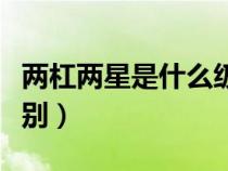 兩杠兩星是什么級(jí)別干部（兩杠兩星是什么級(jí)別）